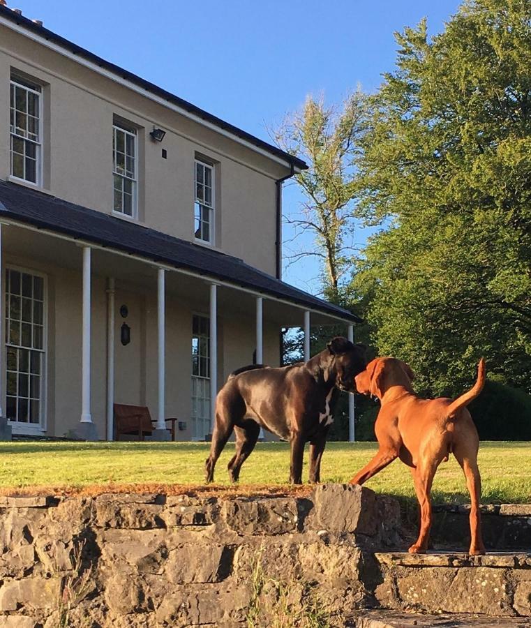 란데일로 Llwynhelig Manor B&B 외부 사진
